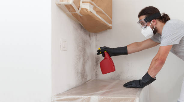 Professional Attic Mold Remediation technician working in Bethel, NC